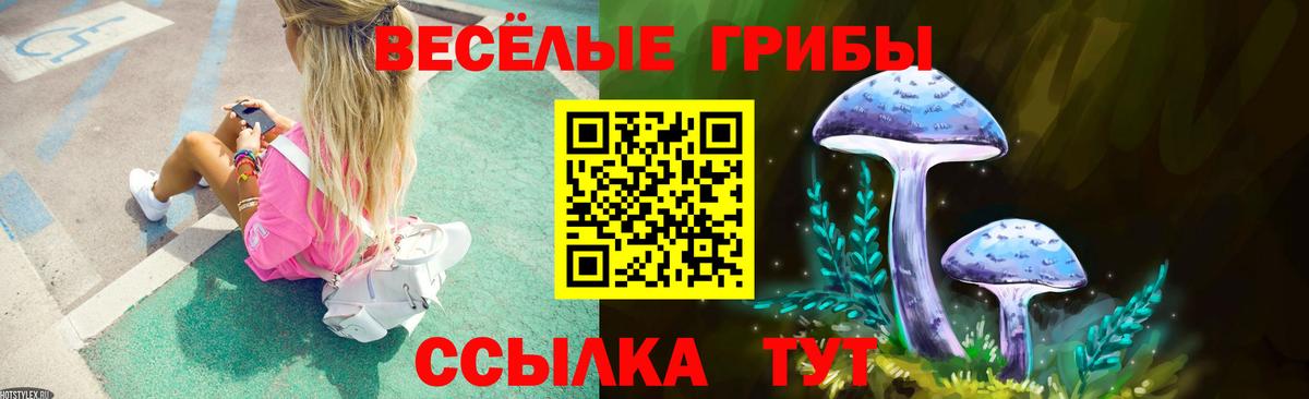 Трёхгорный  Галлюциногенные грибы Cubensis  Галлюциногенные грибы Psilocybine cubensis  Вход с VPN 